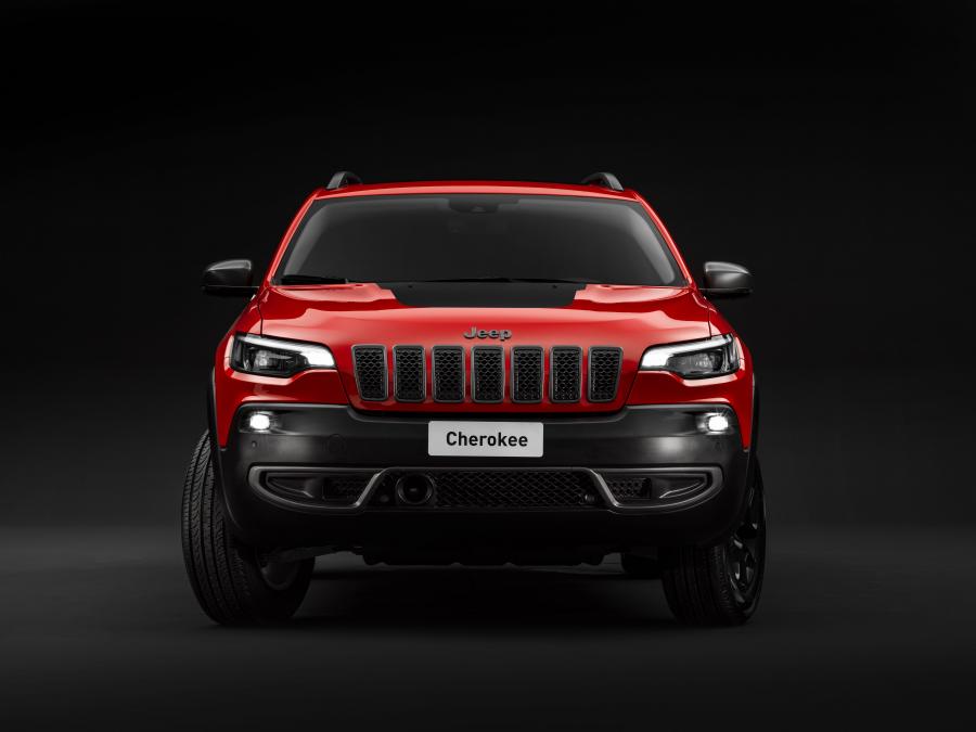  Jeep Cherokee Trailhawk (KL) 2019 года  (WW) (фото 12 из 14)